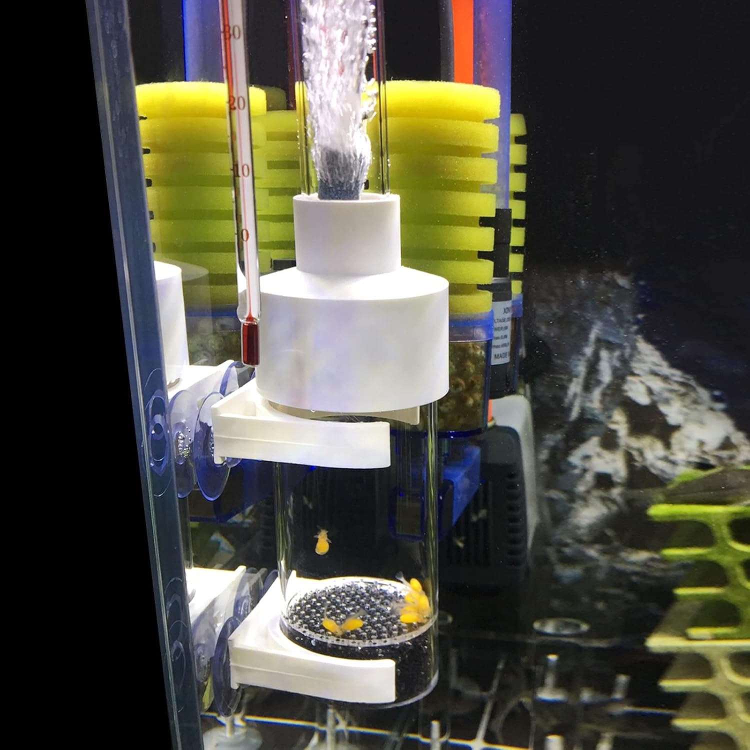 WEAVERBIRD 50mm Fish Hatchery Incubator, Aquarium Cichlids Egg Tumbler for Breeding in Tank