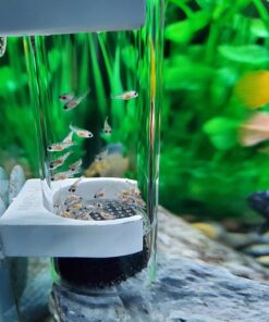 WEAVERBIRD 50mm Fish Hatchery Incubator, Aquarium Cichlids Egg Tumbler for Breeding in Tank