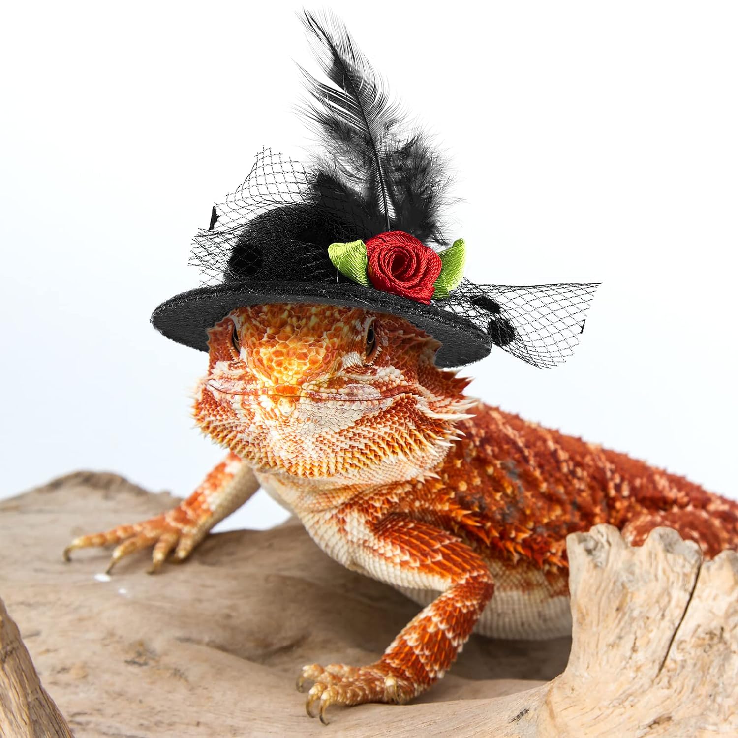 Weewooday 6 Pieces Chicken Hats for Hen Mini Chicken Helmet Accessories Feather Top Funny Small Hat Funny with Adjustable Elastic Chin Strap for Animal Costume (Fresh Color,...