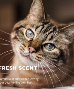 Wet Ones for Cats Freshening Wipes, Multi-Purpose Cat Grooming Wipes with Aloe Vera, Helps Remove Dirt, Odor, and Dander Between Baths, Fresh Scent, 50 Count