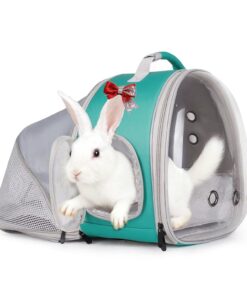 WEVONIGU Expandable Small Animal Backpack Carrier with Clear Bubble Window Large Space Travel Cage for Hedgehog Rat Parrot,Bearded Dragon,Sugar Glider,Airline Approved (Green,...