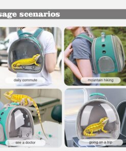 WEVONIGU Expandable Small Animal Backpack Carrier with Clear Bubble Window Large Space Travel Cage for Hedgehog Rat Parrot,Bearded Dragon,Sugar Glider,Airline Approved (Green,...