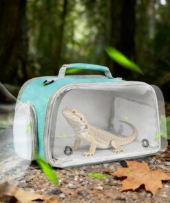 WEVONIGU Expandable Small Animal Backpack Carrier with Clear Bubble Window Large Space Travel Cage for Hedgehog Rat Parrot,Bearded Dragon,Sugar Glider,Airline Approved (Green,...
