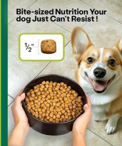 Wild Earth Vegan Dry Dog Food Performance Formula | Plant-Based Vegetarian Kibble | Wheat-Free, Allergen-Free, Veterinarian-Developed | Veggie Supreme Flavor, 18lb Bag