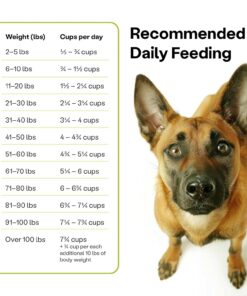 Wild Earth Vegan Dry Dog Food Performance Formula | Plant-Based Vegetarian Kibble | Wheat-Free, Allergen-Free, Veterinarian-Developed | Veggie Supreme Flavor, 18lb Bag