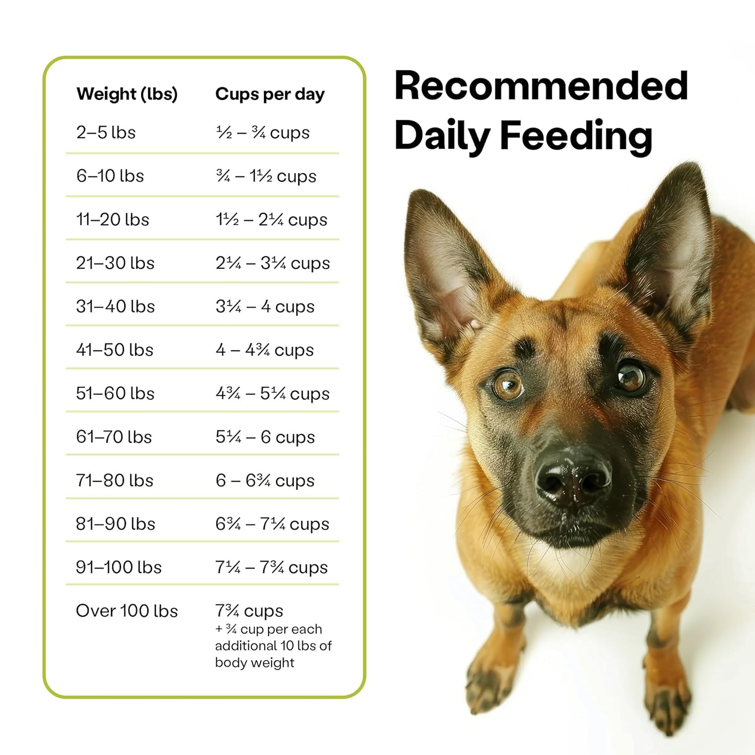 Wild Earth Vegan Dry Dog Food Performance Formula | Plant-Based Vegetarian Kibble | Wheat-Free, Allergen-Free, Veterinarian-Developed | Veggie Supreme Flavor, 18lb Bag