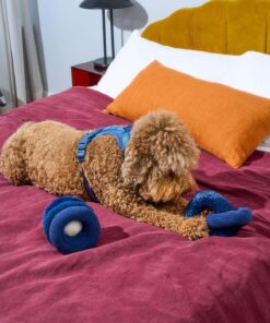 Wild One Plush Toy Kit - Chew Chain & Tennis Ball Tuft (Stylish Design & Durable Materials), Navy