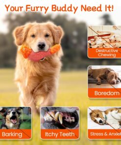 WinTour Tough Dog Toys for Aggressive Chewers, Dog Chew Toys for Large Dogs, Turkey Indestructible Squeaky Dogs Toy to Keep Them Busy