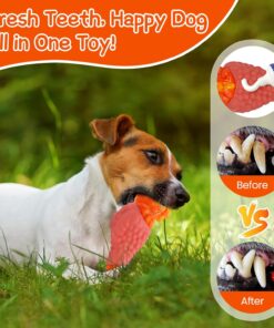 WinTour Tough Dog Toys for Aggressive Chewers, Dog Chew Toys for Large Dogs, Turkey Indestructible Squeaky Dogs Toy to Keep Them Busy