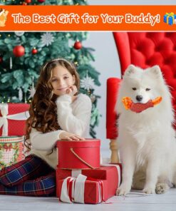 WinTour Tough Dog Toys for Aggressive Chewers, Dog Chew Toys for Large Dogs, Turkey Indestructible Squeaky Dogs Toy to Keep Them Busy