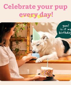 WOOF Party Pupsicle - Long-Lasting Interactive Dog Toys for Boredom - Low-Mess Design - Birthday Gifts for Dogs - Large Dog Toys - Buddy Blue