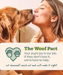 WOOF Party Pupsicle - Long-Lasting Interactive Dog Toys for Boredom - Low-Mess Design - Birthday Gifts for Dogs - Large Dog Toys - Buddy Blue