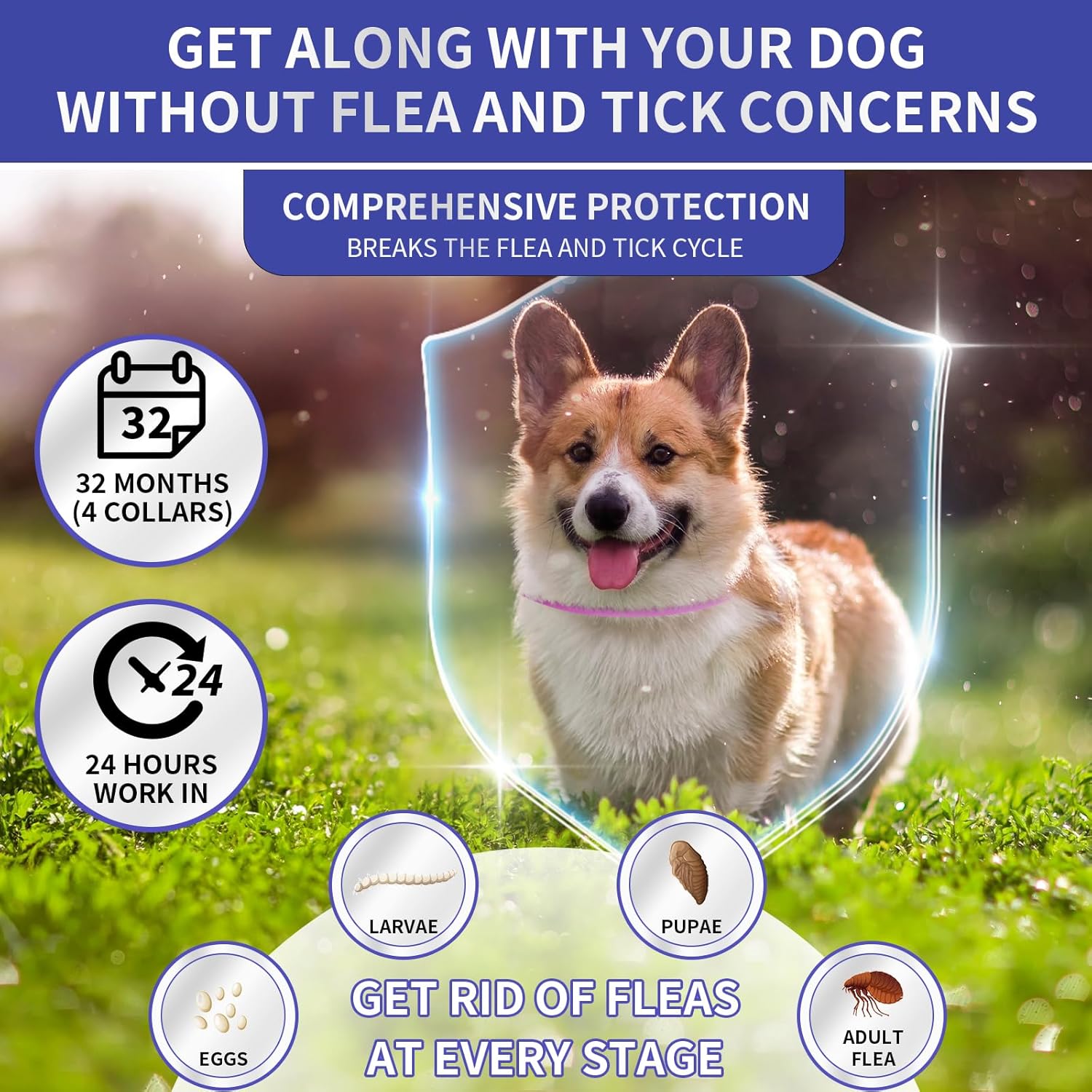YOTANGO 4 Pack Flea Collar for Dogs, Dog Flea Collar Waterproof, 32 Months Prevention, Dog Fleas and Tick Treatment, Adjustable Fleas and Tick Protection for Dogs Puppy(Blue &...