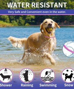 YOTANGO 4 Pack Flea Collar for Dogs, Dog Flea Collar Waterproof, 32 Months Prevention, Dog Fleas and Tick Treatment, Adjustable Fleas and Tick Protection for Dogs Puppy(Blue &...