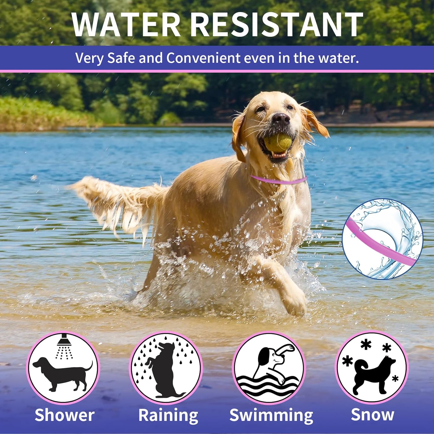 YOTANGO 4 Pack Flea Collar for Dogs, Dog Flea Collar Waterproof, 32 Months Prevention, Dog Fleas and Tick Treatment, Adjustable Fleas and Tick Protection for Dogs Puppy(Blue &...
