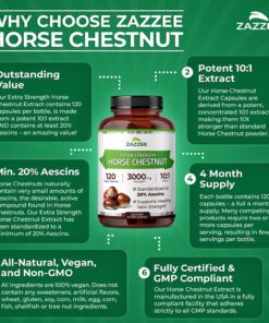 Zazzee Extra Strength Horse Chestnut 10:1 Extract, 20% Aescins, 120 Vegan Capsules, 4 Month Supply, Aesculus Hippocastanum, Healthy Circulation & Blood Flow Support, Non-GMO,...
