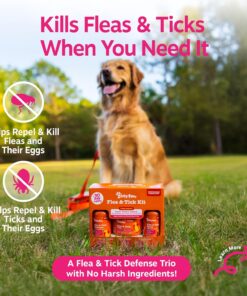 Zesty Paws Flea and Tick Kit for Dogs - Shampoo, Spray & Soft Chews that Kill Fleas, Ticks & Their Eggs - Prevention, Protection & Repellent - Soothes Itchy & Irritated Dog Skin