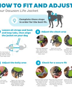 Outward Hound Dawson Swim Green Dog Life Jacket, Medium
