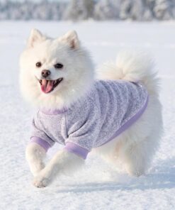2 Pack Dog Sweaters for Small Dogs Girl Boy Winter Fleece Clothes Warm Soft Dog Sweatshirt Outfit for Dogs Cats Pet Apparel