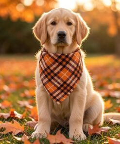 Fall Dog Bandanas 2PCS Halloween Pumpkin Spider Web Large Dogs