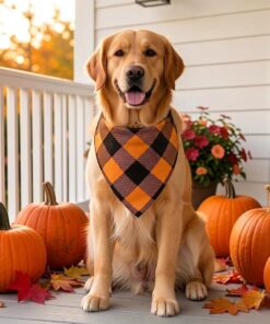 Fall Dog Bandanas 2PCS Halloween Pumpkin Spider Web Large Dogs